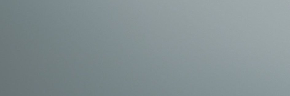 Banul banner