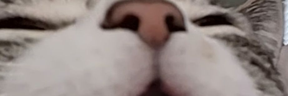 siegengin's profile banner image