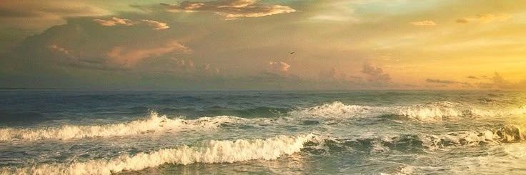 justgerleno☄. *. ⋆ banner