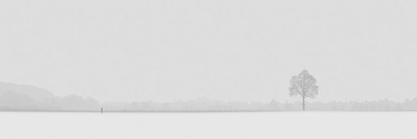 michel_brouwers Profile Banner