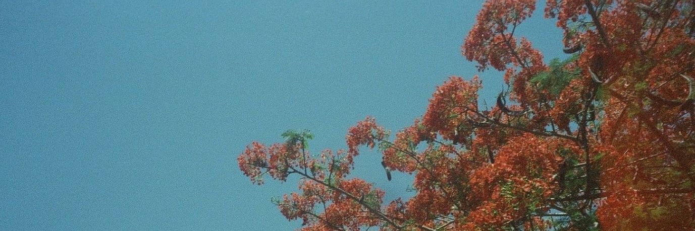 ____zika's profile banner image