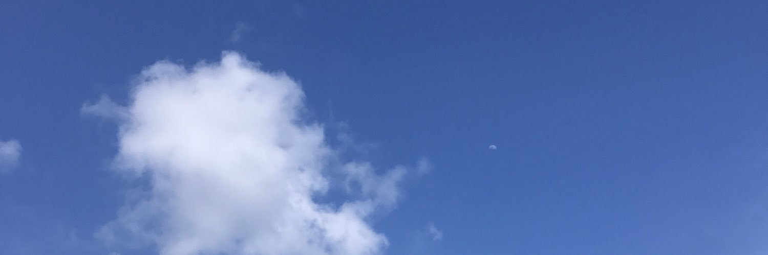 zippaty's profile banner image