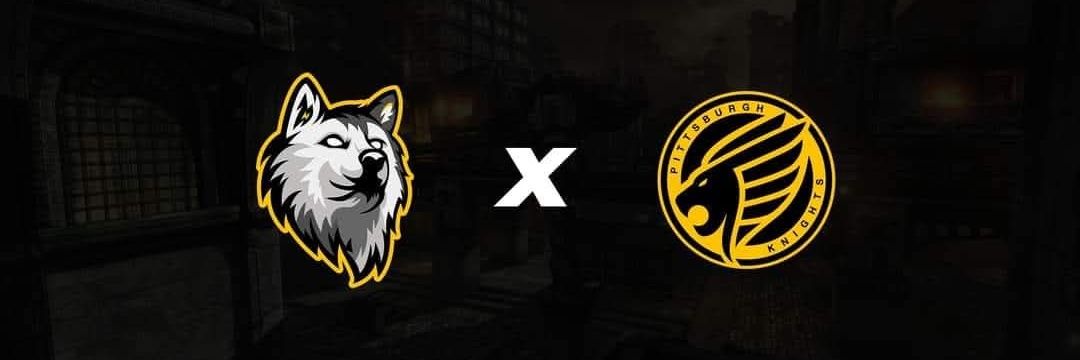 TTV VoltageMX | ⛩️ banner