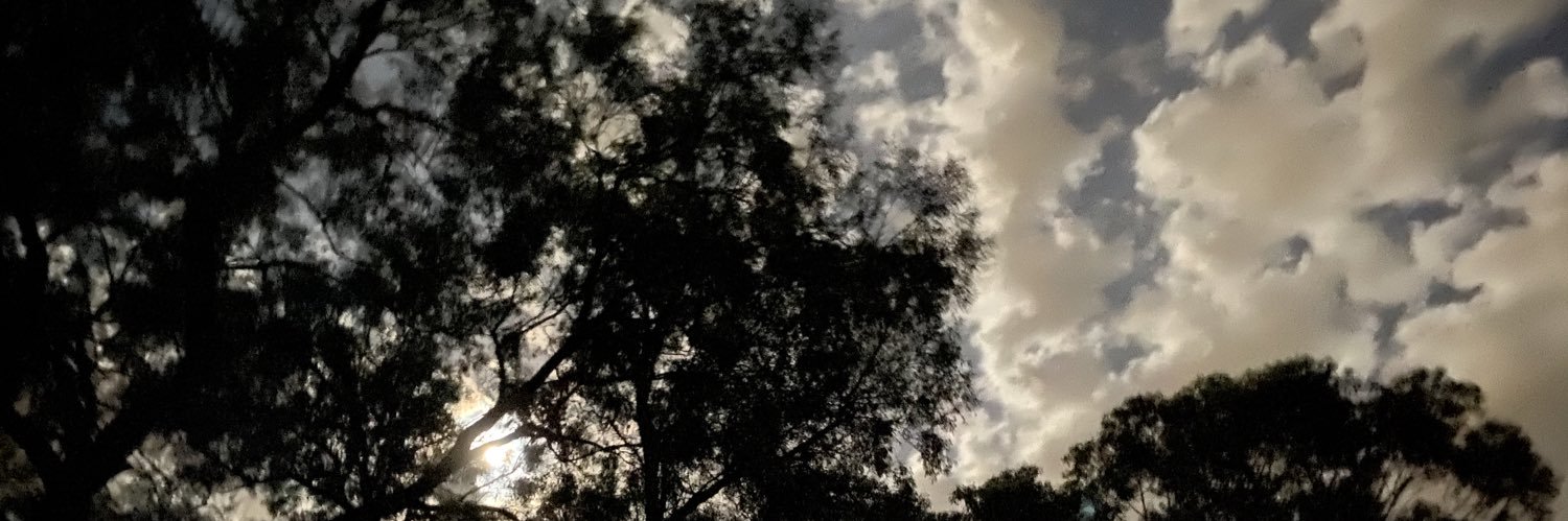 thatdavidhooper's profile banner image