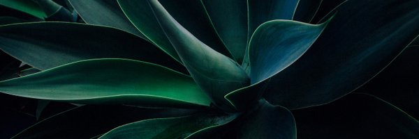 wikichaves Profile Banner