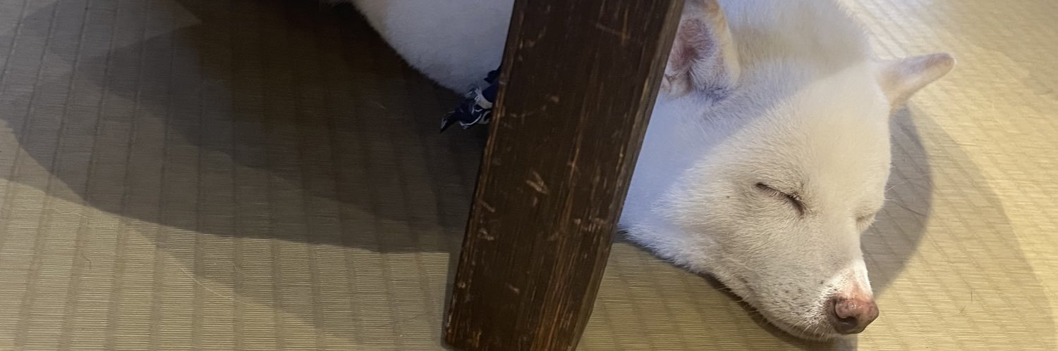 たけのこ banner