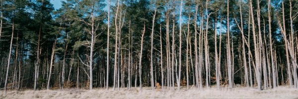 Enapi_gmbh Profile Banner