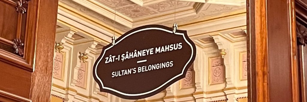 eternal sunshine. 🦢 banner