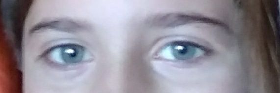 robert s. parrado banner