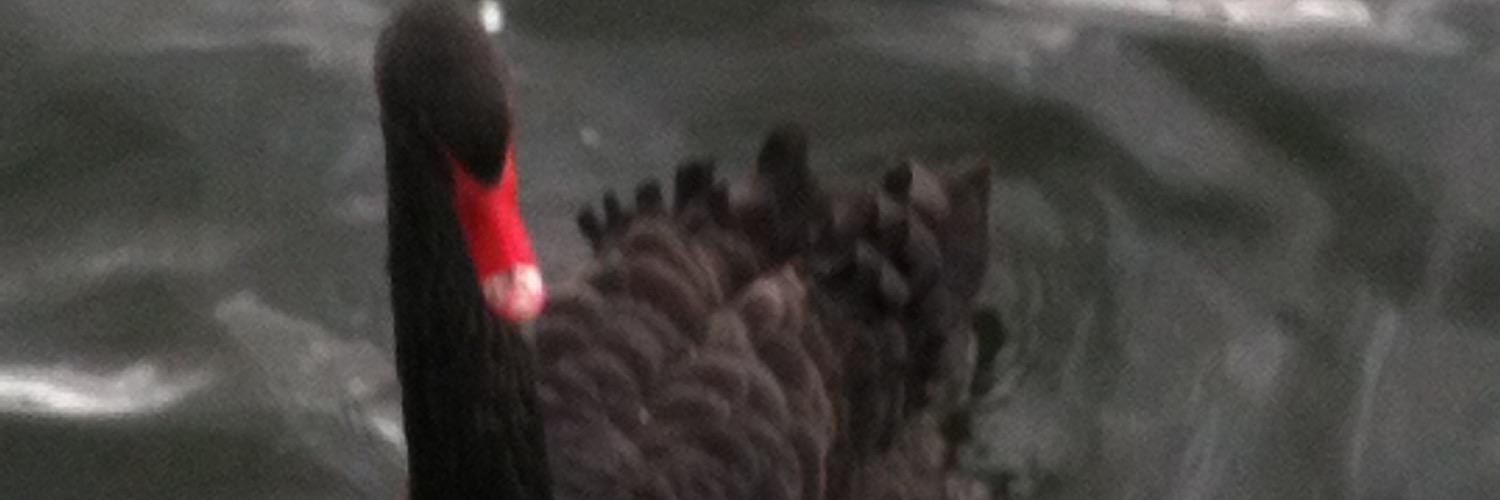 Alasdair Snell banner