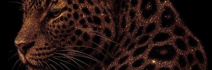 desifonttes's profile banner image