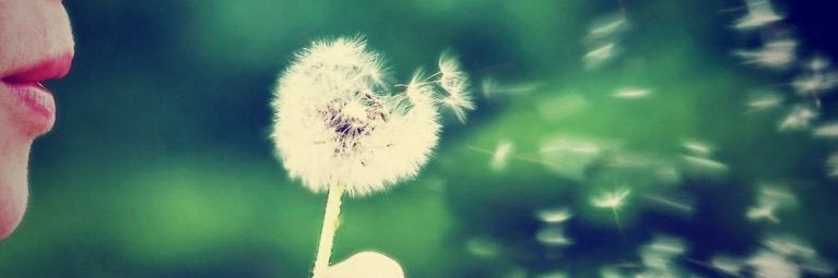 Carolm87's profile banner image