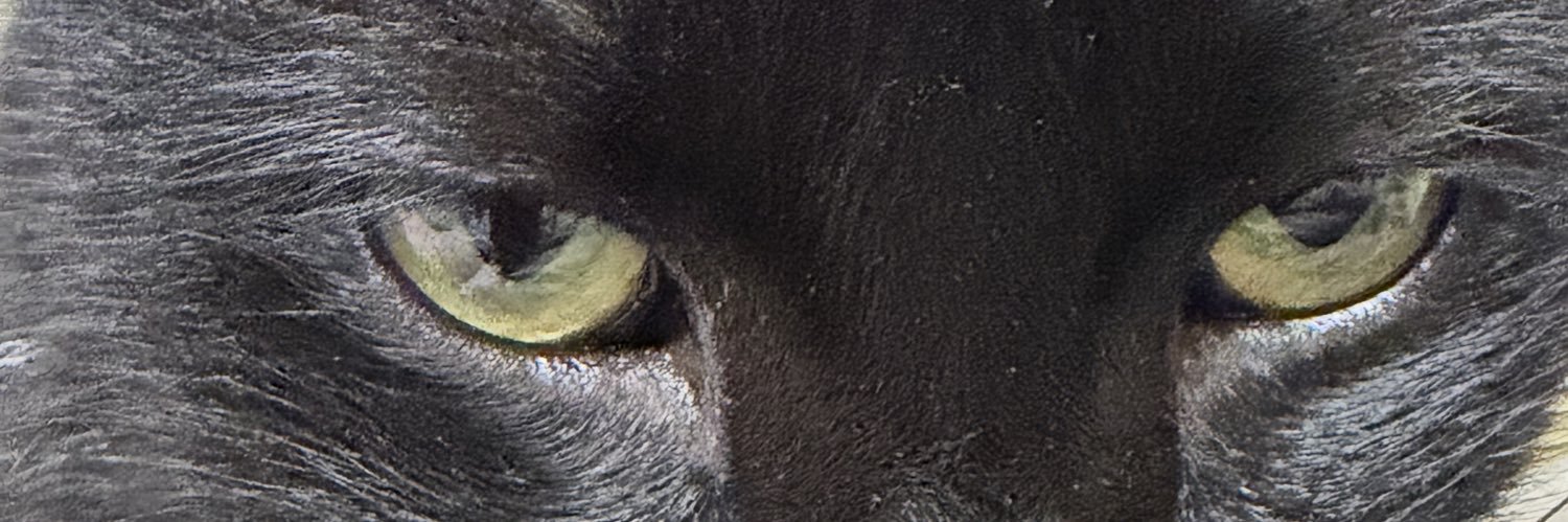 SundaytoSun's profile banner image