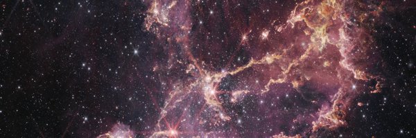 treefinge_r Profile Banner