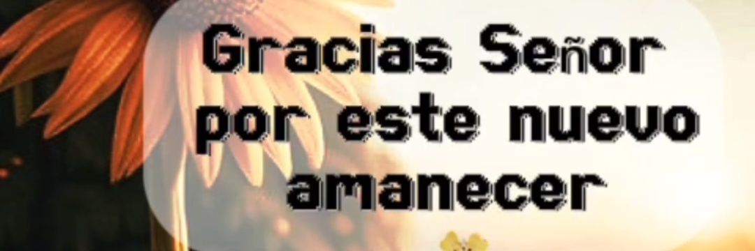Paty_bel2582 banner