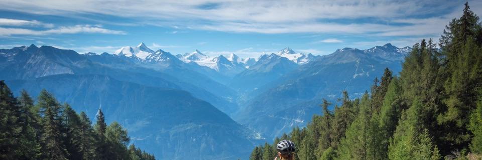 Leah Flickinger banner