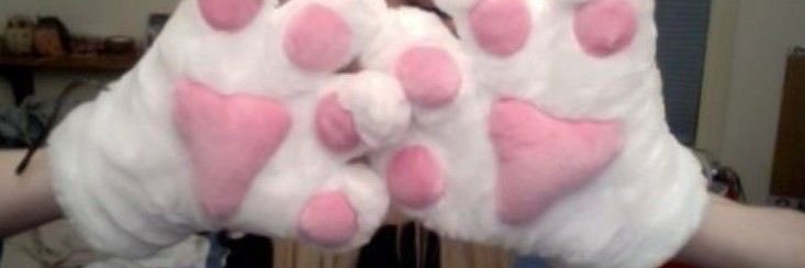 すべすべにゃんこ banner