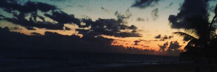 pipparosewright's profile banner image