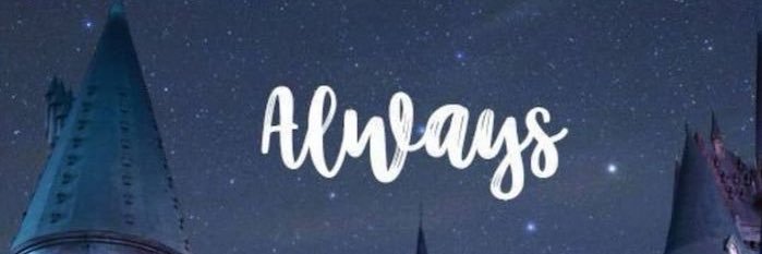 singmynamee's profile banner image