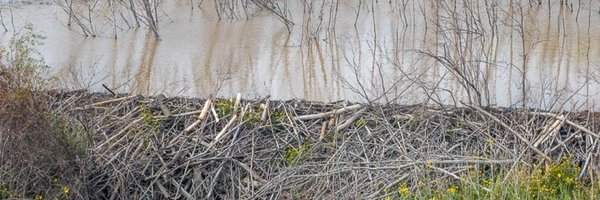 CarstenVollSand Profile Banner