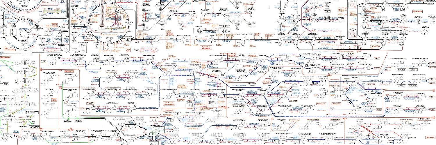 Norman Jansen banner