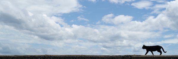 freesisx Profile Banner