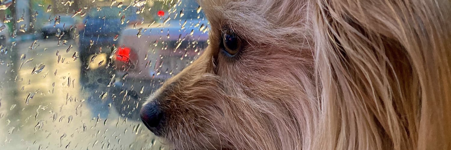 niayseee's profile banner image
