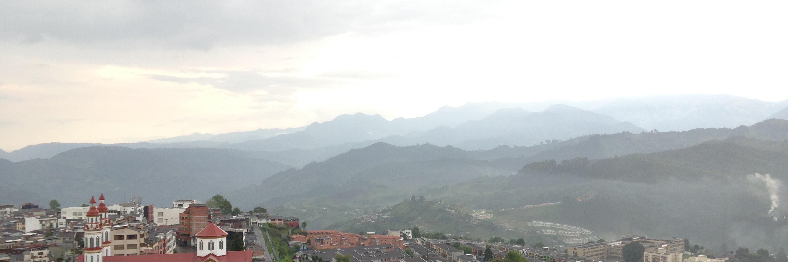 Andre Zandstra banner