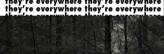 schizo banner