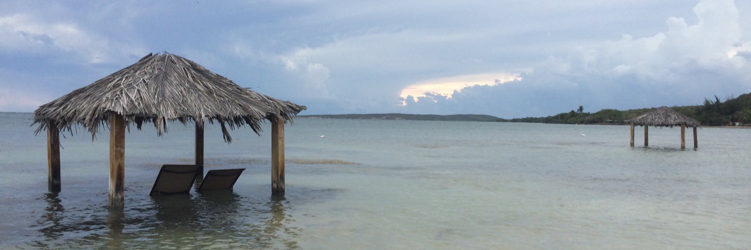 Roguetaino's profile banner image