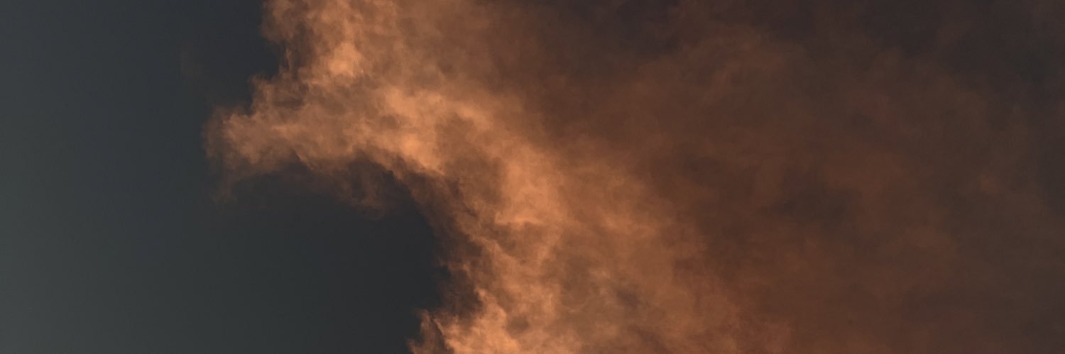 eveebreit's profile banner image
