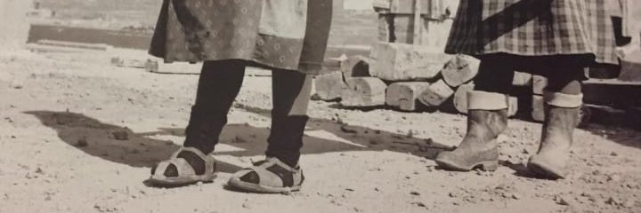maraprusa's profile banner image