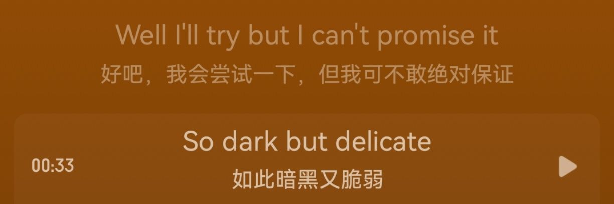 nobody's banner