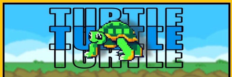 Turtle Coin banner