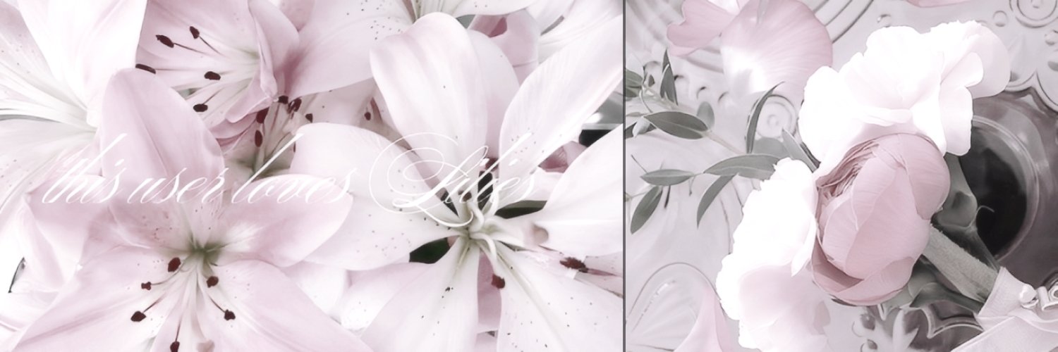 🍥 banner