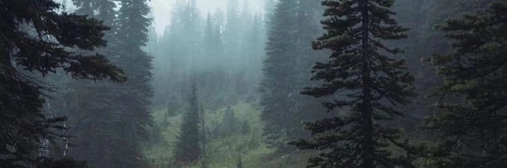 ⍋ iriRENscence's banner