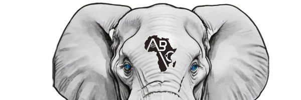 africasblock Profile Banner