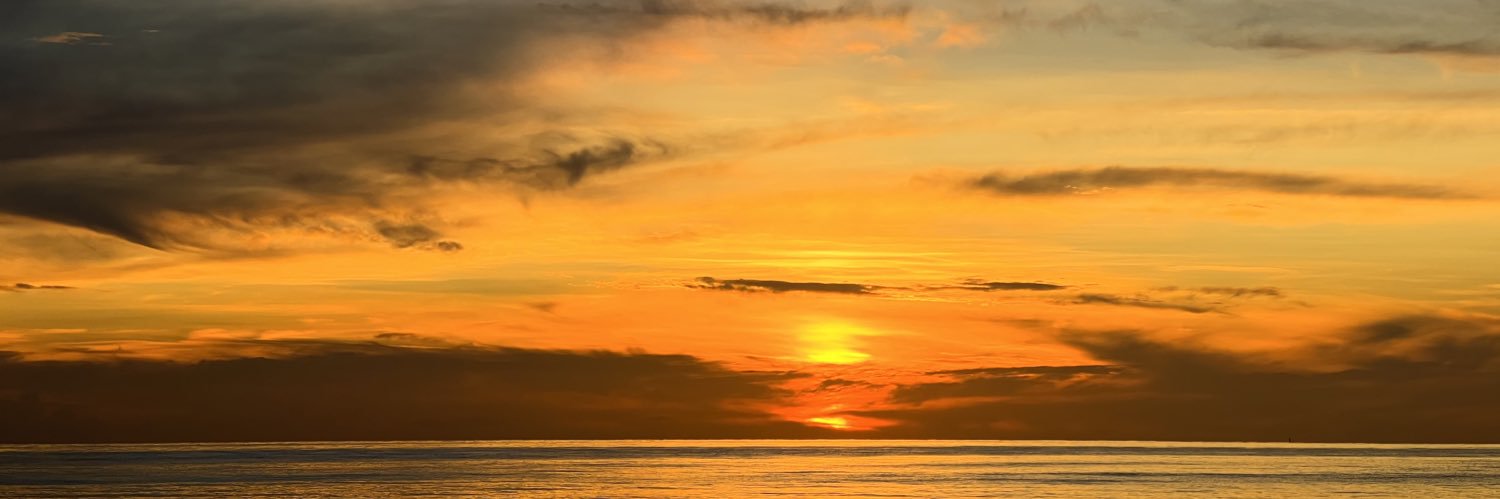 dalcottrell's profile banner image