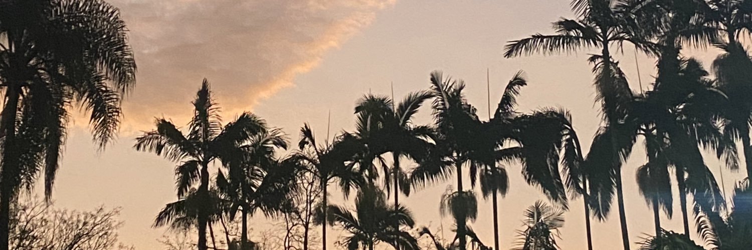 isa_lulay's profile banner image