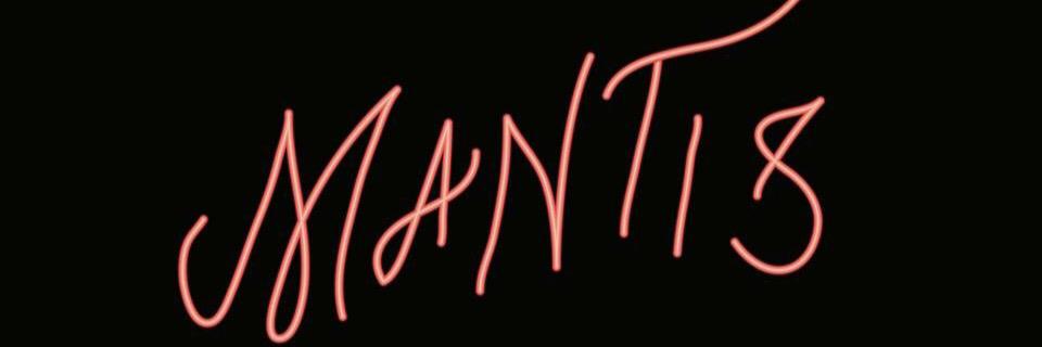 sebfmantis's profile banner image