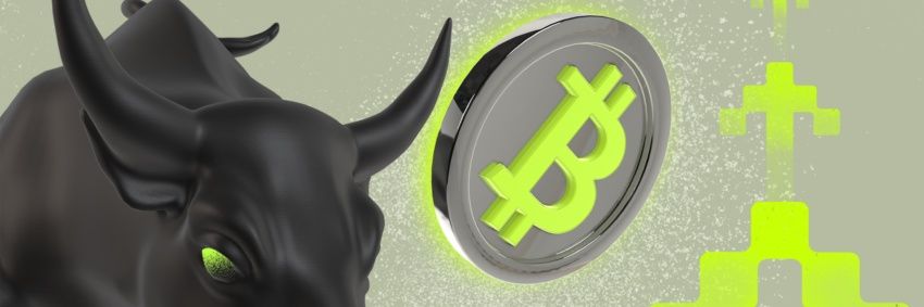 TheMetaDetector's profile banner image