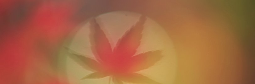 pathos_eye's profile banner image