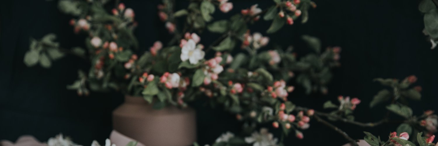 herisoncarlos's profile banner image