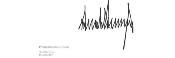 FlippyTrump Profile Banner