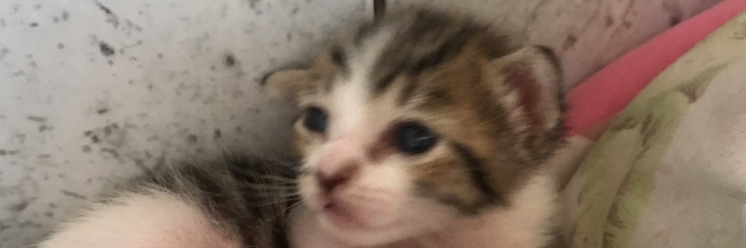 josi975's profile banner image