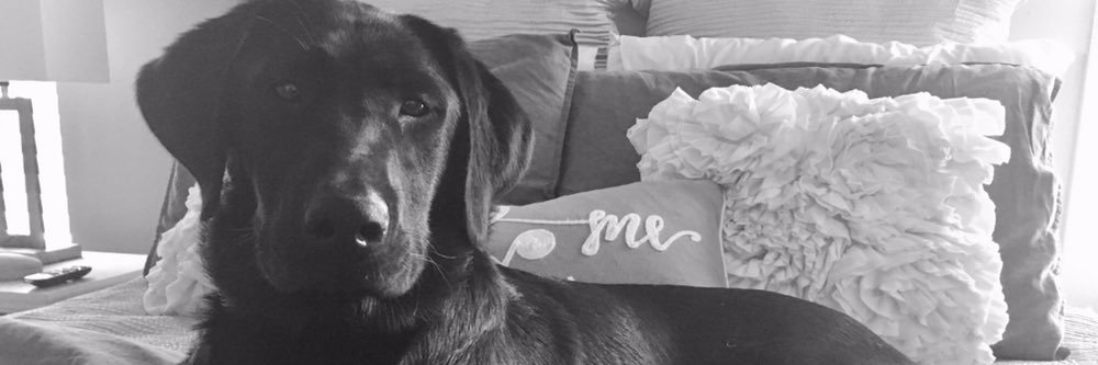 Kristina K. Comer banner