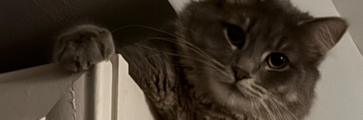 psychrat's profile banner image