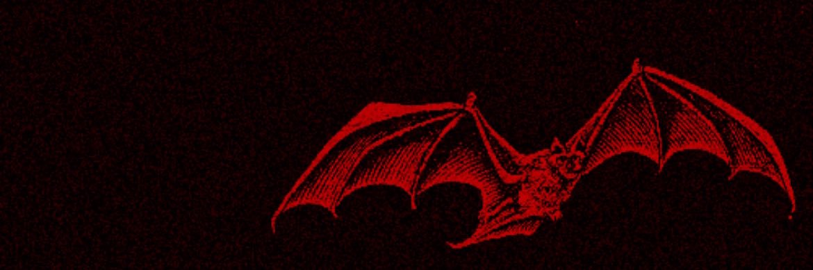 fati_koss's profile banner image