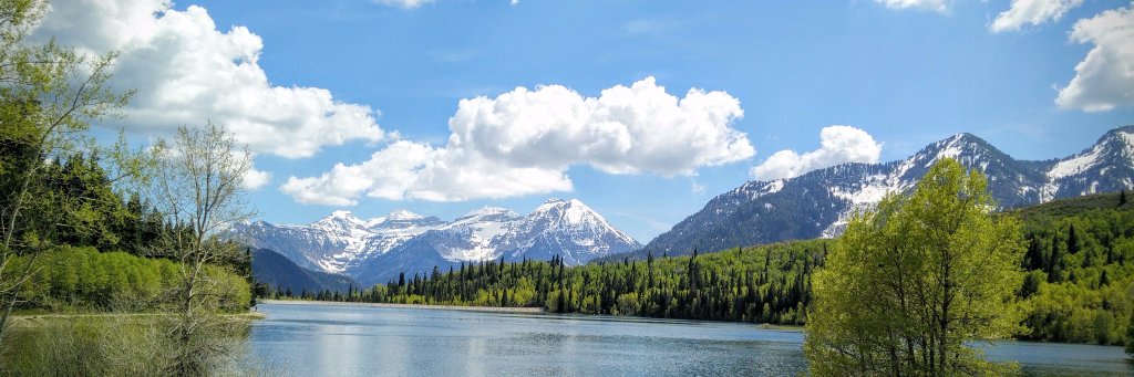 Essential Oil Uses banner