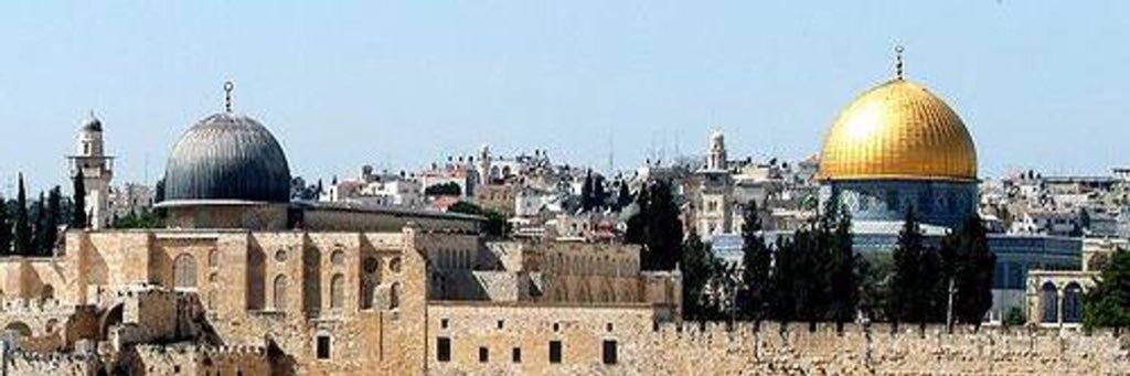 Ahmed Shamoon banner
